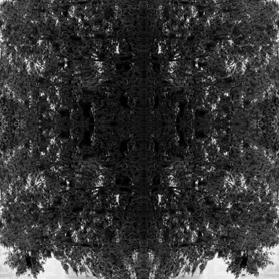 Cell Pattern